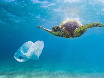 ecologia